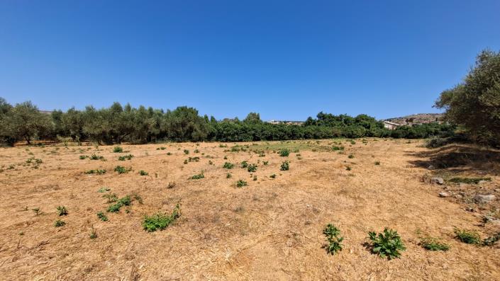 Image No.3-Plot for sale