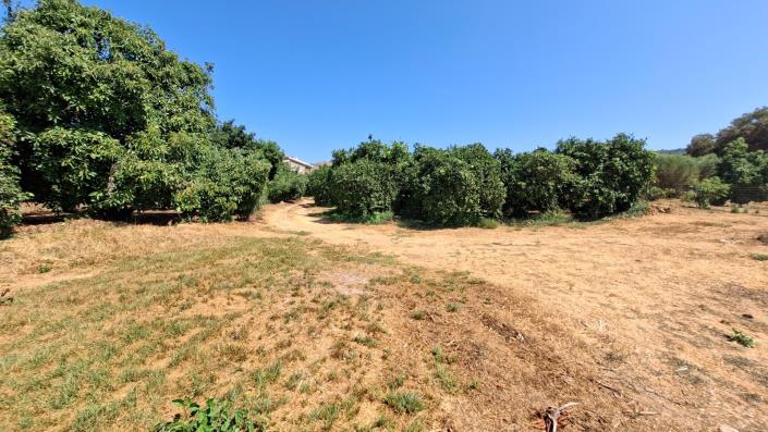 Image No.2-Plot for sale