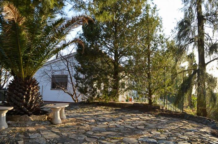 Image No.6-3 Bed Country Property for sale