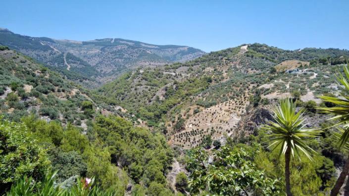 Image No.9-3 Bed Villa for sale