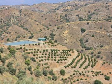 Sunset Properties Spain most sold property