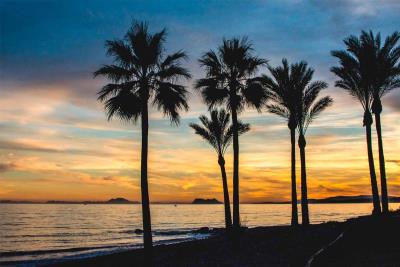 img_59_1569425126_estepona-aby