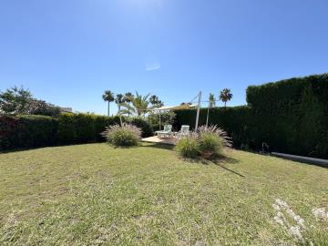 IMG_0607