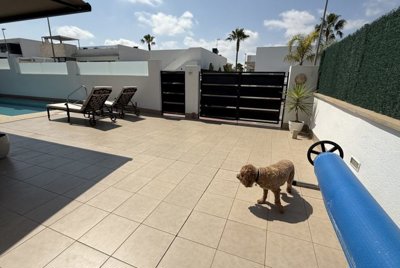 img0558-1170x785