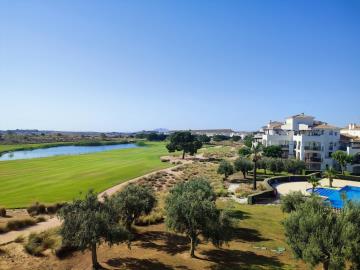 30146-apartment-for-sale-in-hacienda-riquelme-golf-resort-21578504-large