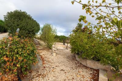 foto33