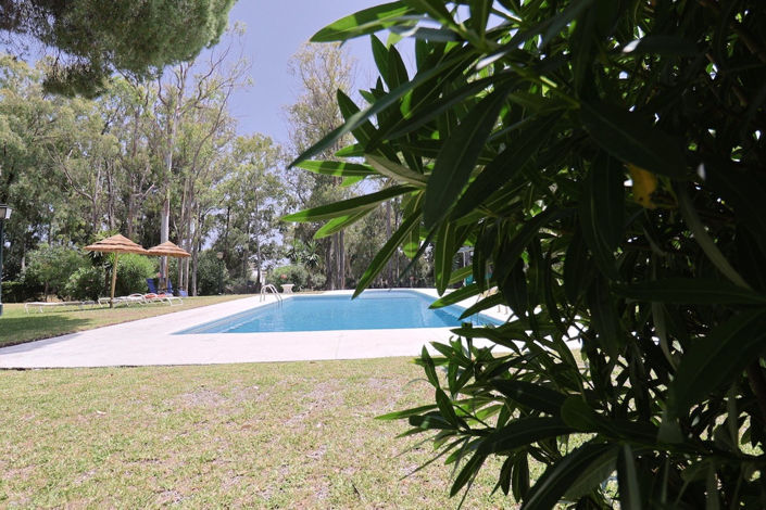 Image No.25-Propriété de 3 chambres à vendre à Benamara