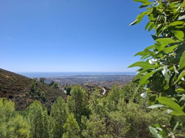 Idiliq Estates most sold property