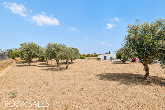 Image No.16-2 Bed Finca for sale