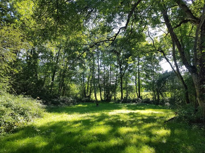 Image No.23-3 Bed House for sale