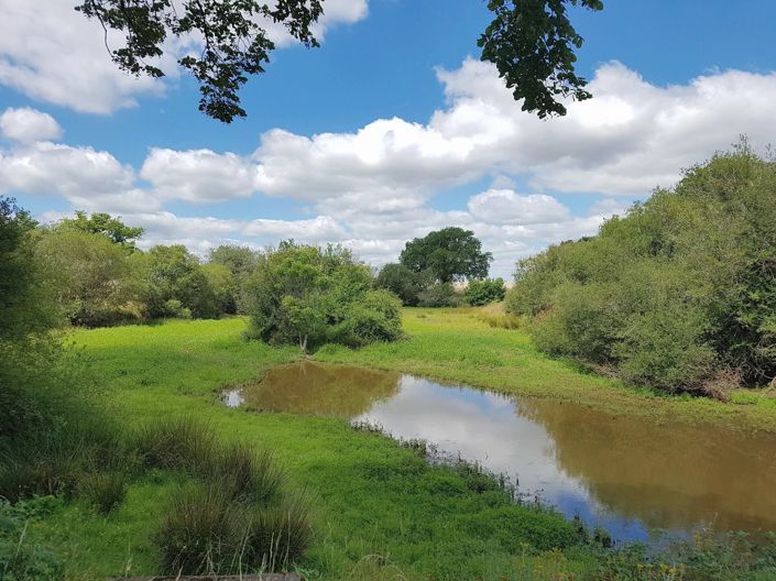 Image No.34-5 Bed House for sale