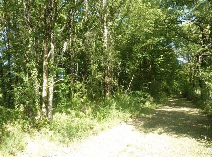 Image No.26-Maison de 5 chambres à vendre à Saint-Léger-Magnazeix