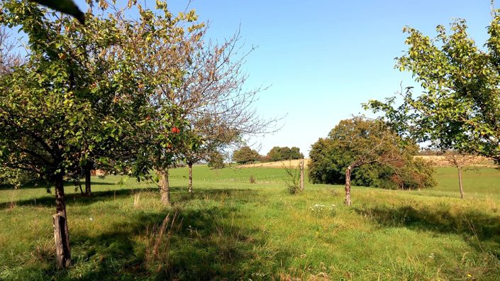 Image No.2-7 Bed House for sale