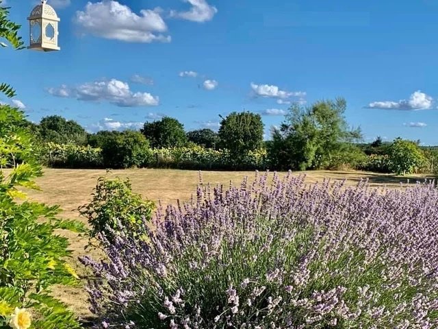 Image No.18-Bungalow de 4 chambres à vendre à Mauprévoir