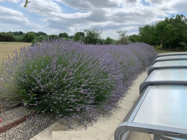 Image No.19-Bungalow de 4 chambres à vendre à Mauprévoir