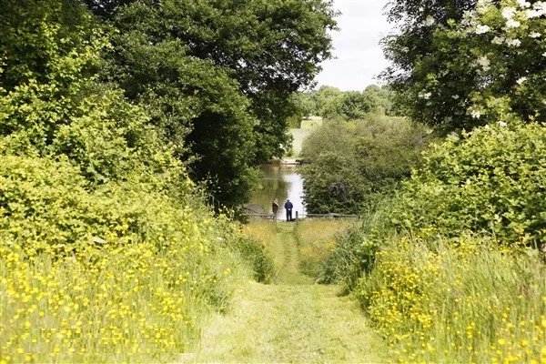 Image No.26-Maison de 6 chambres à vendre à Confolens