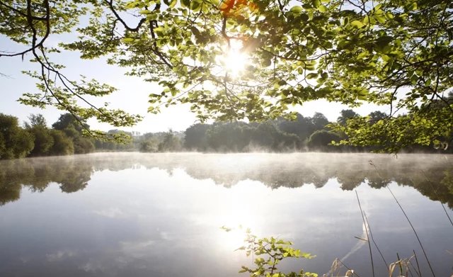 Image No.5-Maison de 6 chambres à vendre à Confolens
