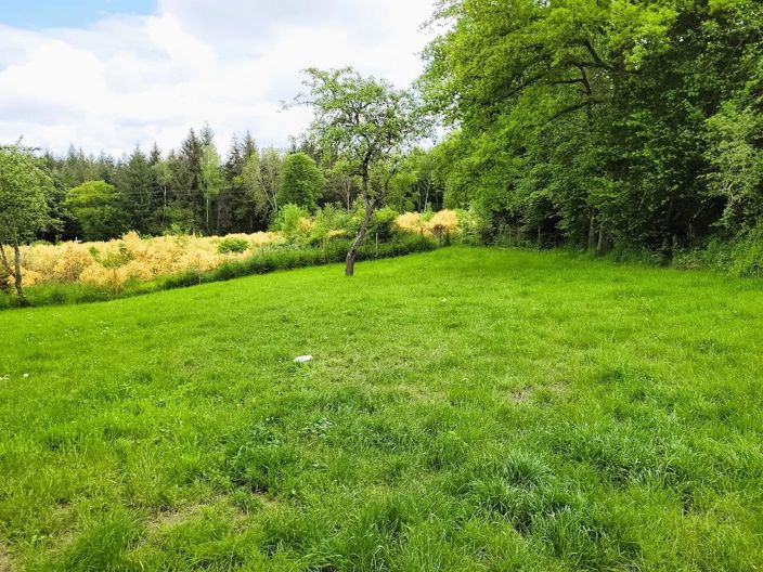 Image No.29-4 Bed House for sale