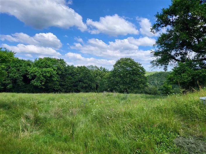 Image No.14-3 Bed House for sale