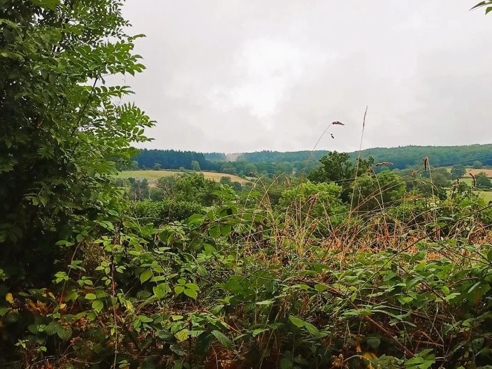 Image No.21-2 Bed House for sale