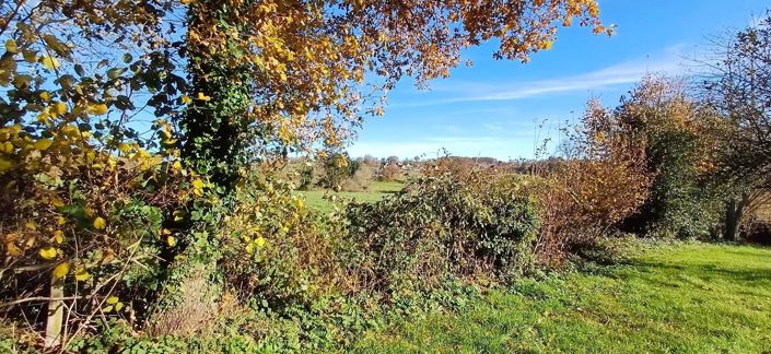 Image No.29-Maison de 4 chambres à vendre à Pionsat