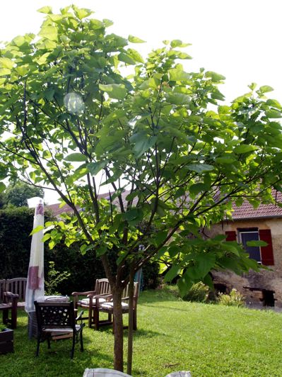 Image No.32-Maison de 3 chambres à vendre à France