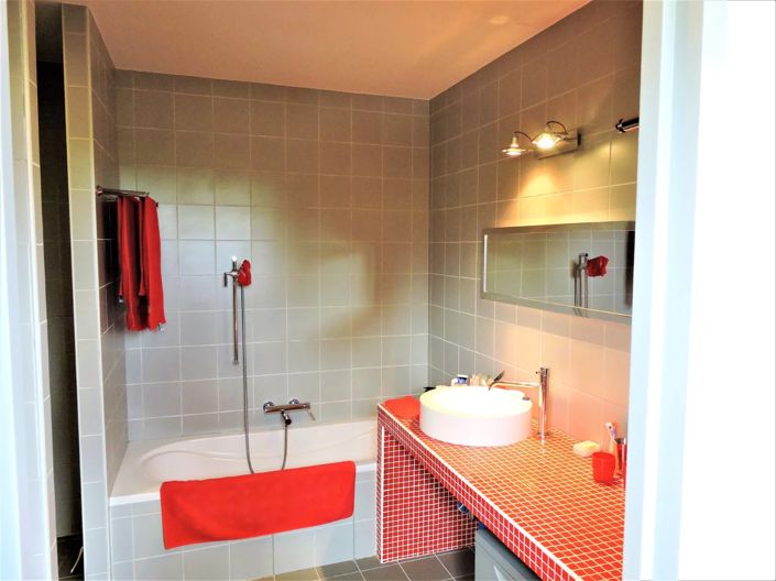 Image No.38-Villa de 4 chambres à vendre à Rouzède