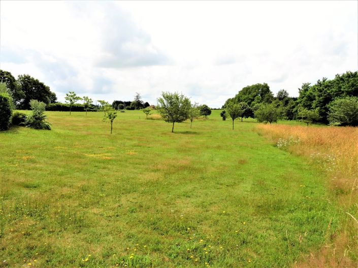 Image No.46-Villa de 4 chambres à vendre à Rouzède