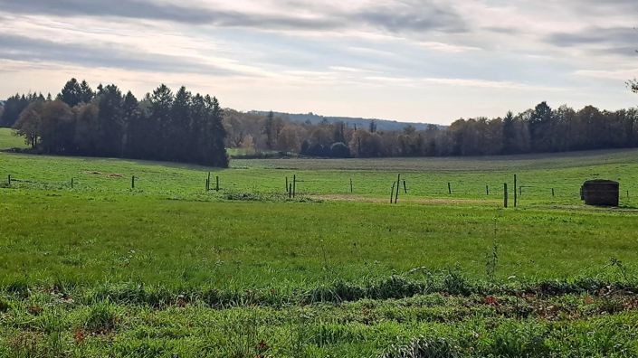 Image No.49-Villa de 4 chambres à vendre à Rouzède