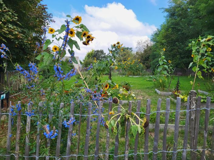 Image No.16-2 Bed Farmhouse for sale