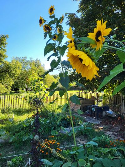 Image No.17-2 Bed Farmhouse for sale