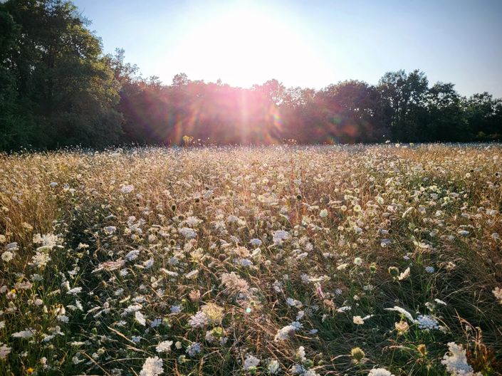 Image No.18-2 Bed Farmhouse for sale