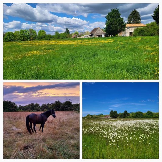 Image No.21-2 Bed Farmhouse for sale