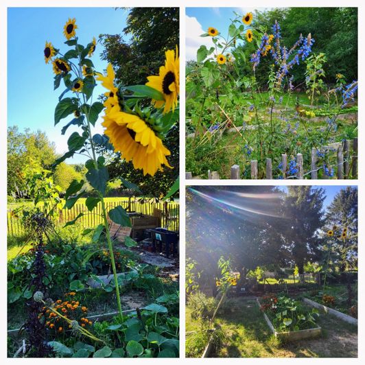 Image No.22-2 Bed Farmhouse for sale