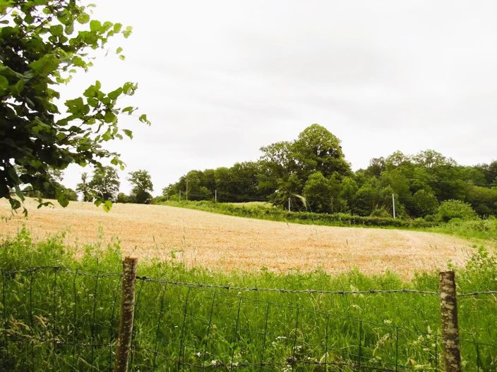 Image No.24-3 Bed House for sale