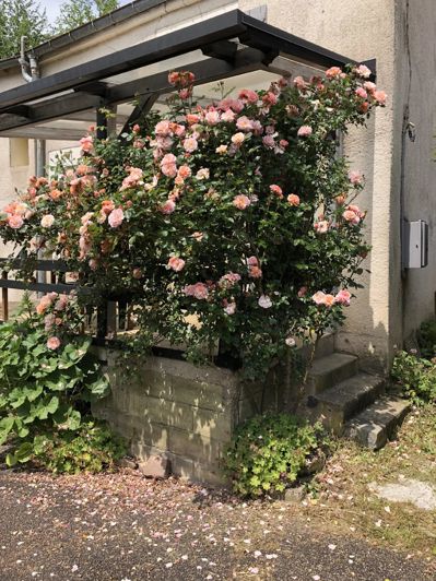 Image No.6-3 Bed House for sale