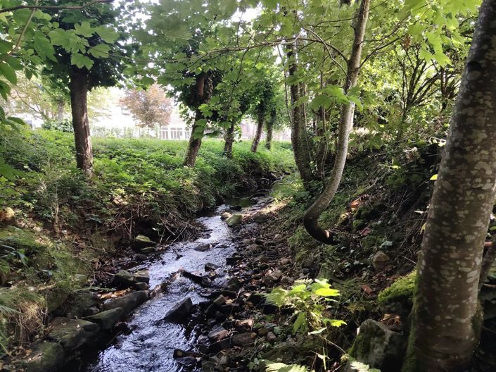 Image No.9-Maison de 3 chambres à vendre à France