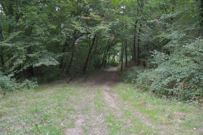 Image No.7-Terre à vendre à Prissac