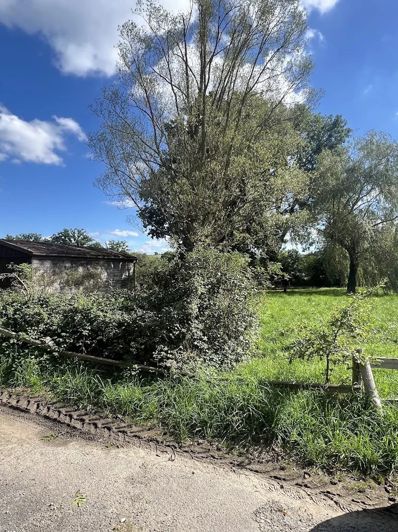 Image No.25-2 Bed House for sale