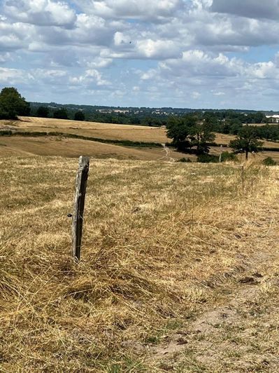 Image No.15-4 Bed Commercial for sale