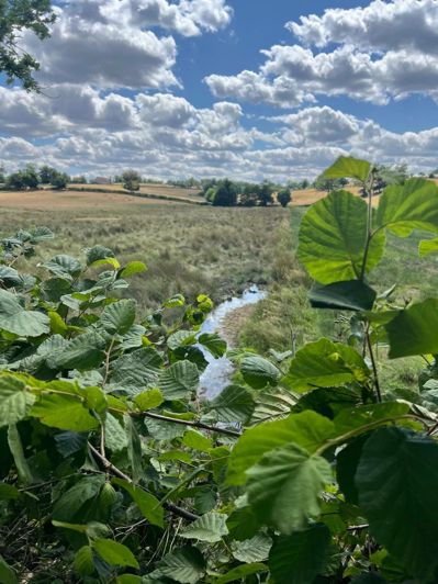 Image No.16-4 Bed Commercial for sale