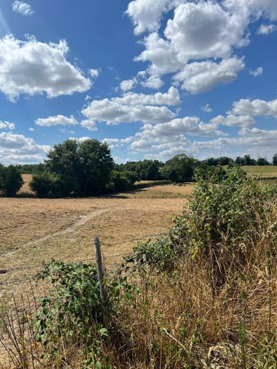 Image No.23-4 Bed Commercial for sale