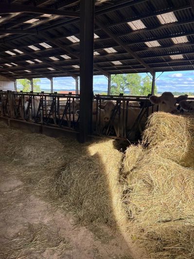 Image No.24-4 Bed Commercial for sale