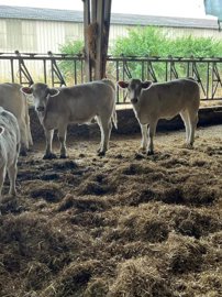 609870855b4ead5cdfbd54235214a98d55d0084b59160