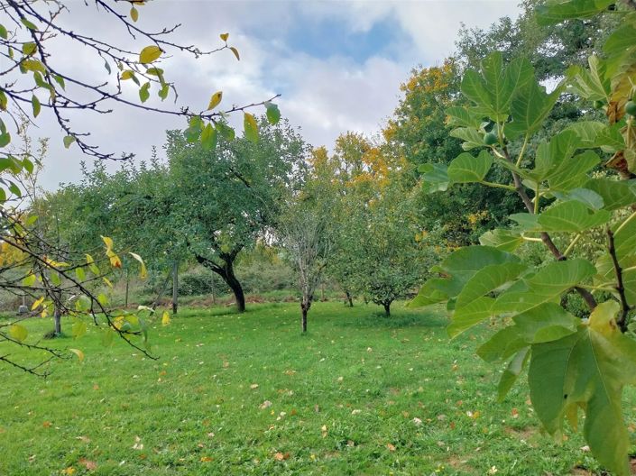 Image No.17-3 Bed House for sale