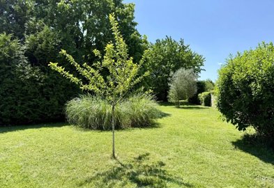 dfae34e911a940ca3cfbac95d94ea8070c6d5c2d43192