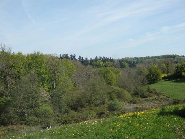 Image No.18-4 Bed House for sale