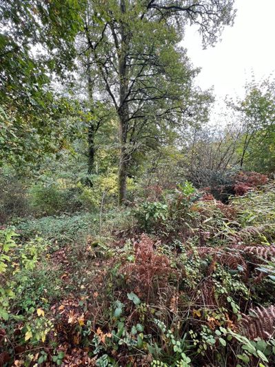 Image No.16-Maison de 3 chambres à vendre à Saint-Yrieix-les-Bois