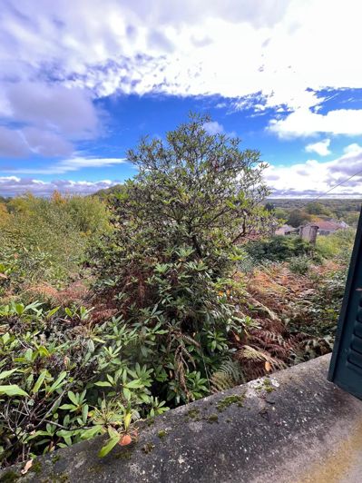 Image No.19-Maison de 3 chambres à vendre à Saint-Yrieix-les-Bois