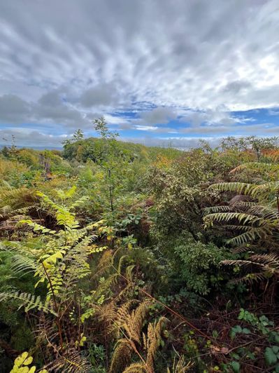 Image No.20-Maison de 3 chambres à vendre à Saint-Yrieix-les-Bois